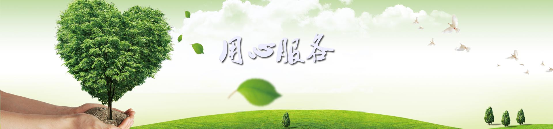 服务项目